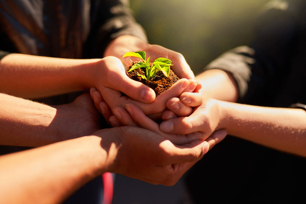 Biovegan Team